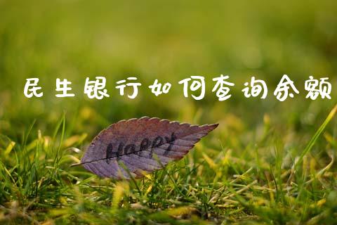 民生银行如何查询余额_https://wap.lxcailiao.com_股权投资_第1张