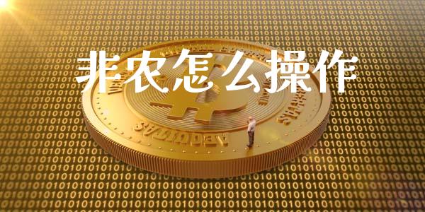 非农怎么操作_https://wap.lxcailiao.com_融资担保_第1张