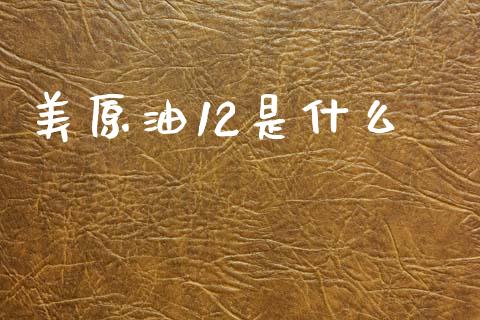 美原油12是什么_https://wap.lxcailiao.com_股权投资_第1张