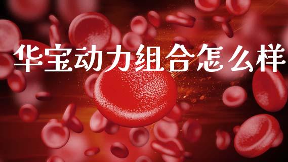 华宝动力组合怎么样_https://wap.lxcailiao.com_财务管理_第1张