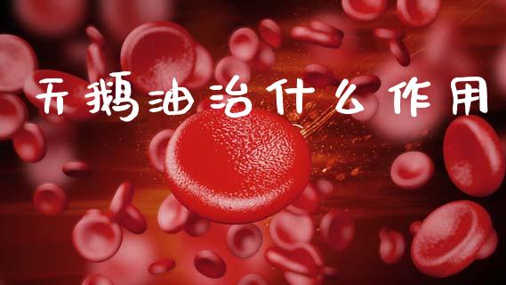 天鹅油治什么作用_https://wap.lxcailiao.com_融资担保_第1张