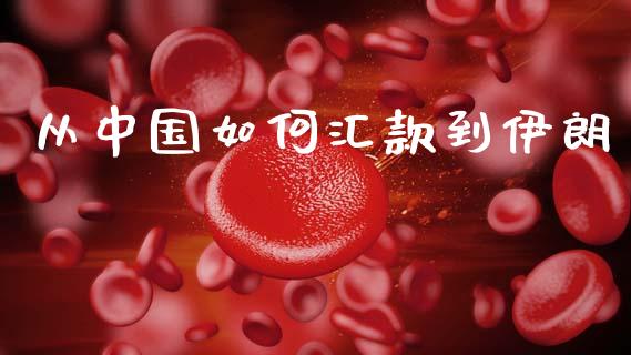 从中国如何汇款到伊朗_https://wap.lxcailiao.com_金融监管_第1张