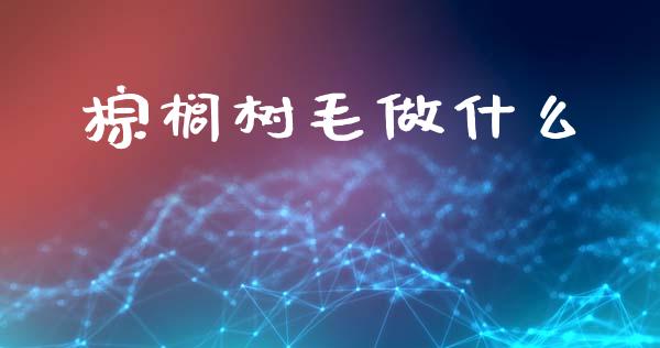 棕榈树毛做什么_https://wap.lxcailiao.com_融资担保_第1张
