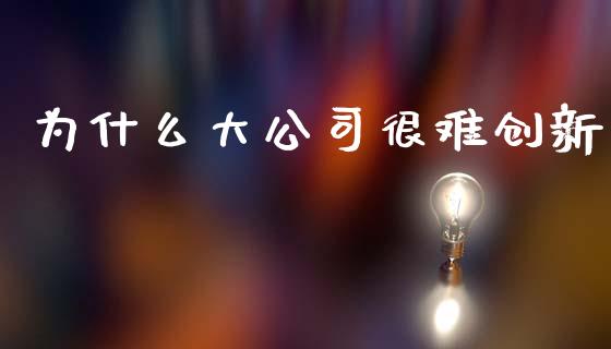 为什么大公司很难创新_https://wap.lxcailiao.com_财务管理_第1张