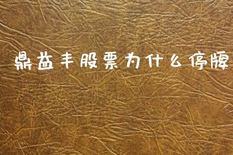 鼎益丰股票为什么停牌_https://wap.lxcailiao.com_金融监管_第1张