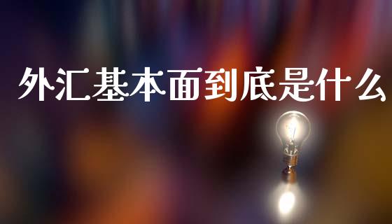 外汇基本面到底是什么_https://wap.lxcailiao.com_融资担保_第1张