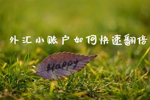 外汇小账户如何快速翻倍_https://wap.lxcailiao.com_财务管理_第1张