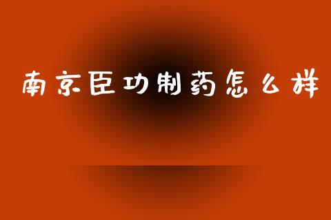 南京臣功制药怎么样_https://wap.lxcailiao.com_股权投资_第1张