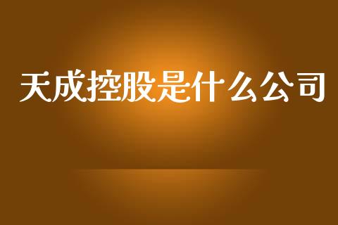 天成控股是什么公司_https://wap.lxcailiao.com_金融监管_第1张