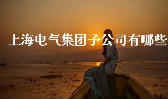 上海电气集团子公司有哪些_https://wap.lxcailiao.com_财务管理_第1张