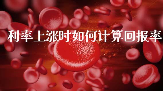 利率上涨时如何计算回报率_https://wap.lxcailiao.com_财务管理_第1张