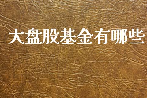 大盘股基金有哪些_https://wap.lxcailiao.com_融资担保_第1张