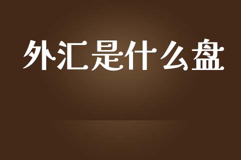 外汇是什么盘_https://wap.lxcailiao.com_金融监管_第1张