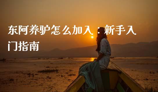 东阿养驴怎么加入：新手入门指南_https://wap.lxcailiao.com_财务管理_第1张