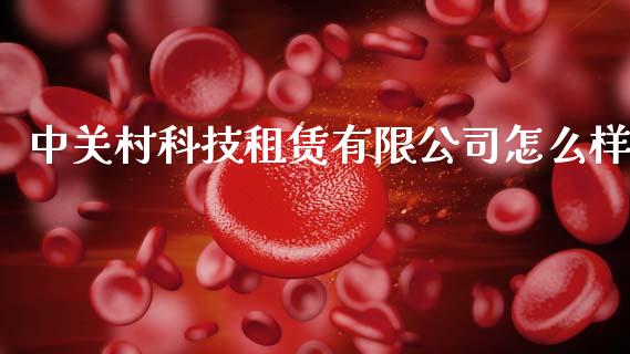 中关村科技租赁有限公司怎么样_https://wap.lxcailiao.com_财务管理_第1张