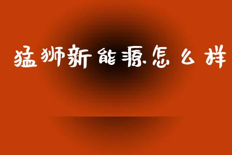 猛狮新能源怎么样_https://wap.lxcailiao.com_金融监管_第1张