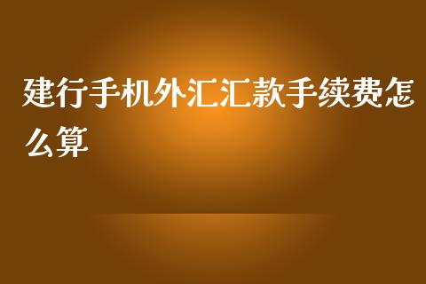 建行手机外汇汇款手续费怎么算_https://wap.lxcailiao.com_金融监管_第1张
