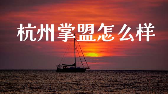 杭州掌盟怎么样_https://wap.lxcailiao.com_融资担保_第1张