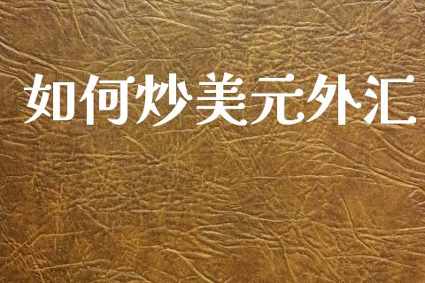 如何炒美元外汇_https://wap.lxcailiao.com_股权投资_第1张