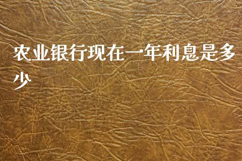 农业银行现在一年利息是多少_https://wap.lxcailiao.com_金融监管_第1张
