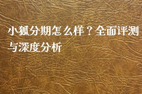 小狐分期怎么样?全面评测与深度分析_融资担保_第1张_金融监管_融资担保_财务管理_股权投资 小狐分期怎么样?全面评测与深度分析_https://wap.lxcailiao.com_融资担保_第1张
