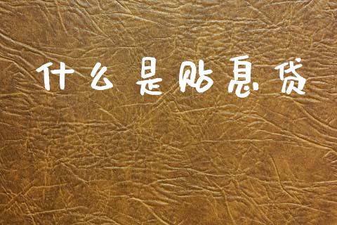 什么是贴息贷_https://wap.lxcailiao.com_财务管理_第1张