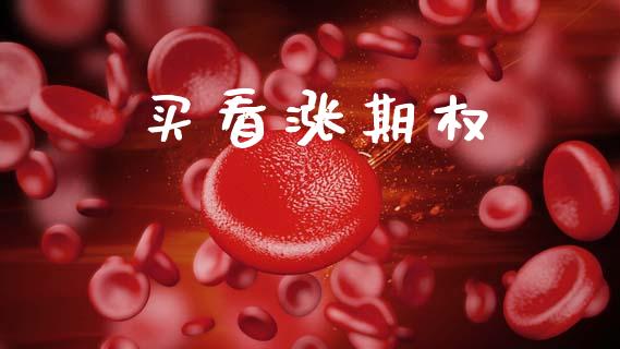 买看涨期权_https://wap.lxcailiao.com_金融监管_第1张