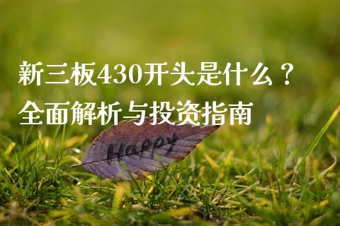 新三板430开头是什么？全面解析与投资指南_https://wap.lxcailiao.com_财务管理_第1张