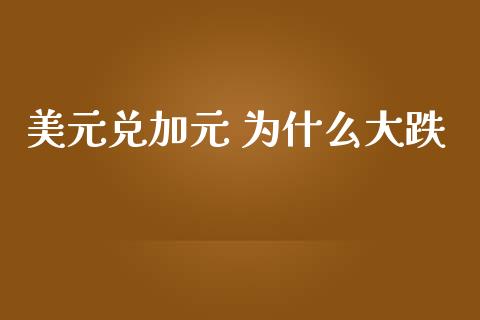 美元兑加元 为什么大跌_https://wap.lxcailiao.com_金融监管_第1张