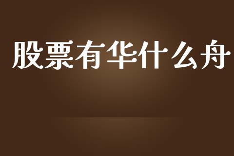 股票有华什么舟_https://wap.lxcailiao.com_金融监管_第1张