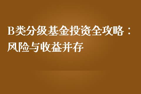 B类分级基金投资全攻略：风险与收益并存_https://wap.lxcailiao.com_金融监管_第1张