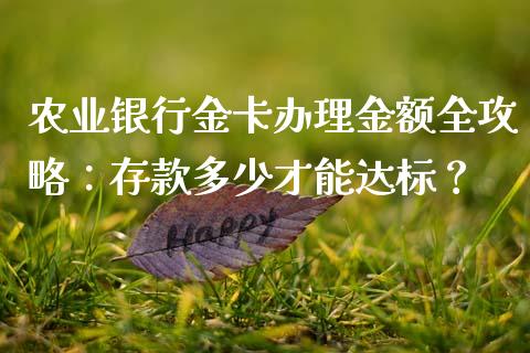 农业银行金卡办理金额全攻略：存款多少才能达标？_https://wap.lxcailiao.com_融资担保_第1张