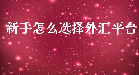 新手怎么选择外汇平台_https://wap.lxcailiao.com_财务管理_第1张