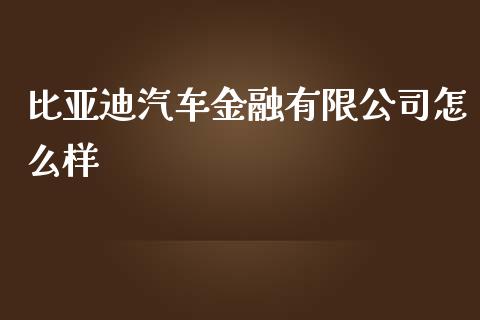 比亚迪汽车金融有限公司怎么样_https://wap.lxcailiao.com_财务管理_第1张