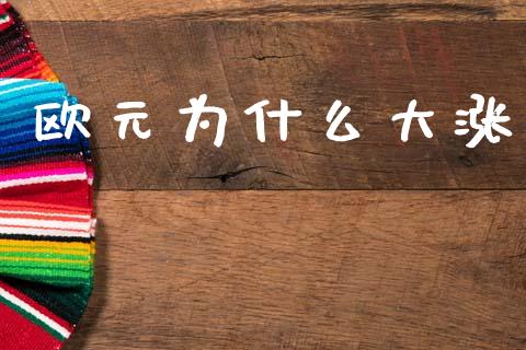 欧元为什么大涨_https://wap.lxcailiao.com_股权投资_第1张