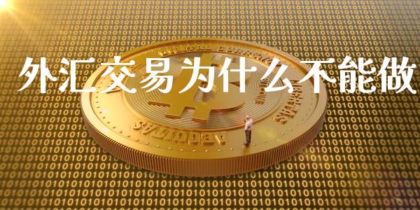 外汇交易为什么不能做_https://wap.lxcailiao.com_股权投资_第1张