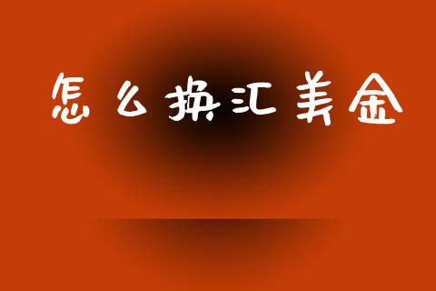 怎么换汇美金_https://wap.lxcailiao.com_股权投资_第1张