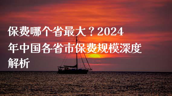 保费哪个省最大？2024年中国各省市保费规模深度解析_https://wap.lxcailiao.com_财务管理_第1张