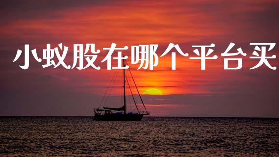 小蚁股在哪个平台买_https://wap.lxcailiao.com_融资担保_第1张