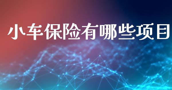 小车保险有哪些项目_https://wap.lxcailiao.com_金融监管_第1张
