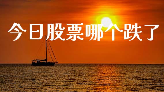 今日股票哪个跌了_https://wap.lxcailiao.com_融资担保_第1张