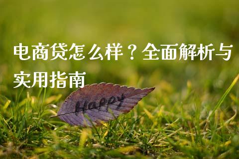 电商贷怎么样?全面解析与实用指南_财务管理_第1张_金融监管_融资担保_财务管理_股权投资 电商贷怎么样?全面解析与实用指南_https://wap.lxcailiao.com_财务管理_第1张