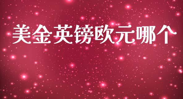 美金英镑欧元哪个_https://wap.lxcailiao.com_金融监管_第1张