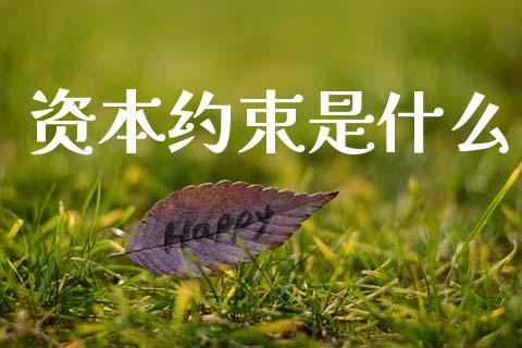 资本约束是什么_https://wap.lxcailiao.com_财务管理_第1张