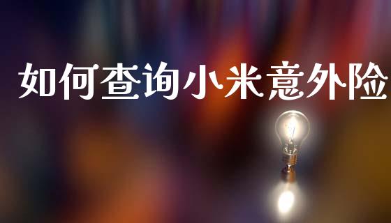 如何查询小米意外险_https://wap.lxcailiao.com_融资担保_第1张