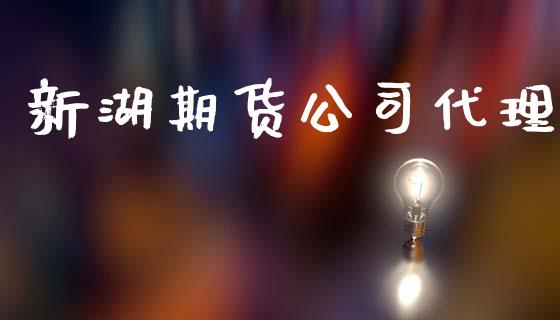 新湖期货公司代理_https://wap.lxcailiao.com_融资担保_第1张