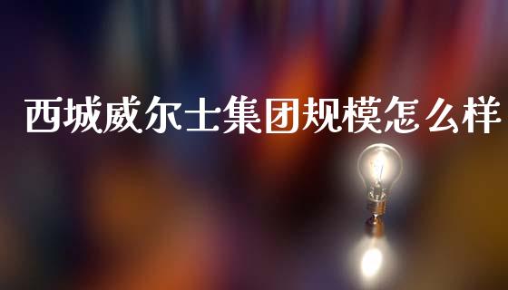 西城威尔士集团规模怎么样_https://wap.lxcailiao.com_金融监管_第1张