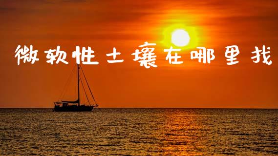 微软性土壤在哪里找_https://wap.lxcailiao.com_融资担保_第1张