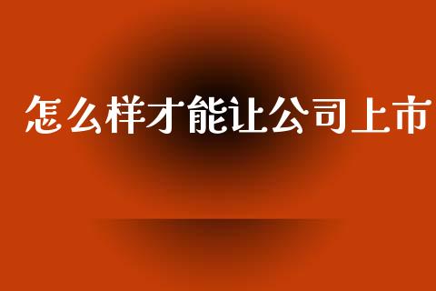 怎么样才能让公司上市_https://wap.lxcailiao.com_财务管理_第1张