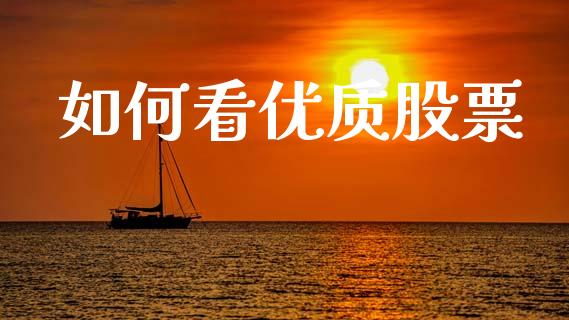 如何看优质股票_https://wap.lxcailiao.com_融资担保_第1张